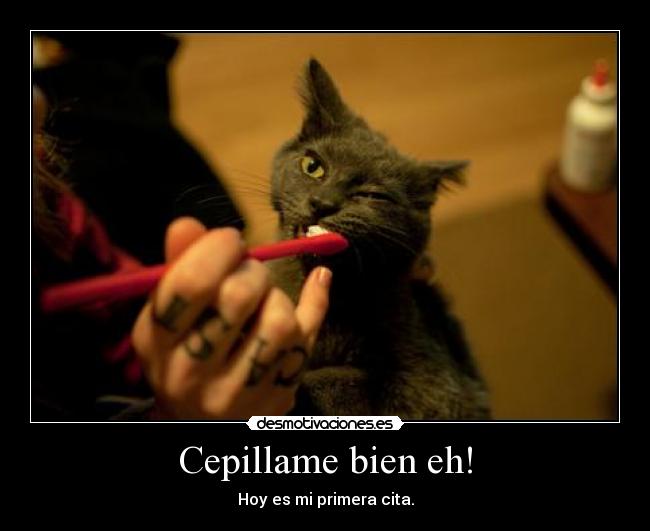 Cepillame bien eh! -