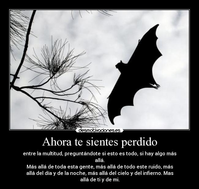 Ahora te sientes perdido - entre la multitud, preguntándote si esto es todo, si hay algo más
allá.
Más allá de toda esta gente, más allá de todo este ruido, más
allá del día y de la noche, más allá del cielo y del infierno. Mas
allá de ti y de mi.