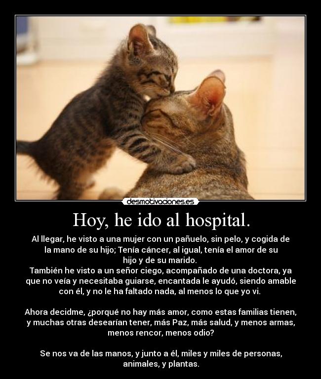 carteles sdfg desmotivaciones