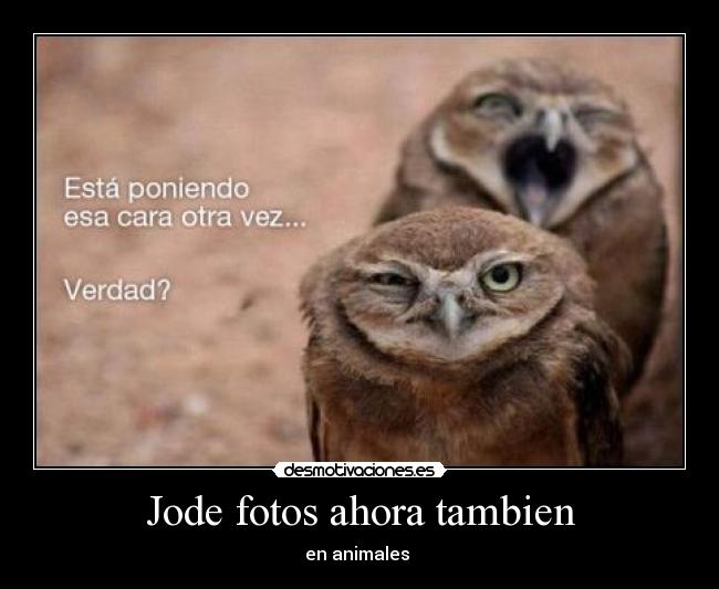 Jode fotos ahora tambien - 