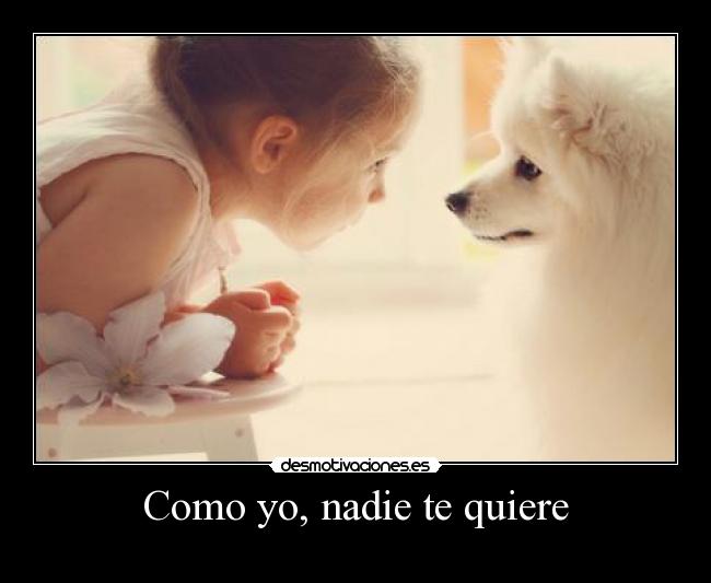 Como yo, nadie te quiere -         