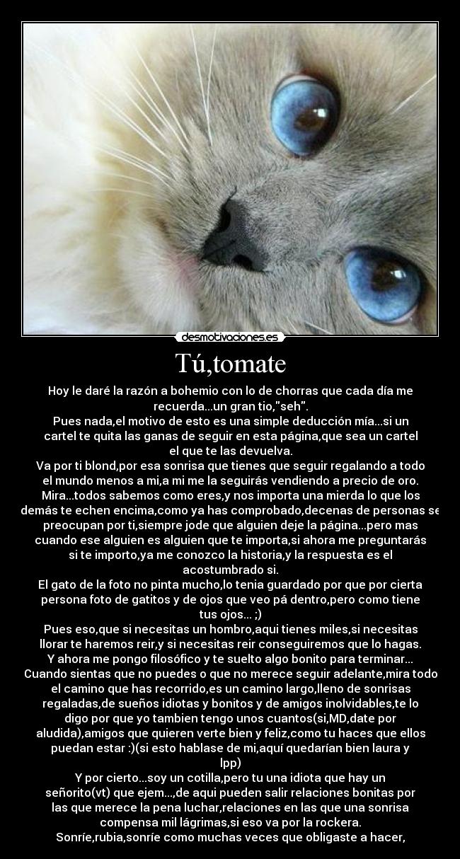 Tú,tomate - Hoy le daré la razón a bohemio con lo de chorras que cada día me
recuerda...un gran tio,seh.
Pues nada,el motivo de esto es una simple deducción mía...si un
cartel te quita las ganas de seguir en esta página,que sea un cartel
el que te las devuelva.
Va por ti blond,por esa sonrisa que tienes que seguir regalando a todo
el mundo menos a mi,a mi me la seguirás vendiendo a precio de oro.
Mira...todos sabemos como eres,y nos importa una mierda lo que los
demás te echen encima,como ya has comprobado,decenas de personas se
preocupan por ti,siempre jode que alguien deje la página...pero mas
cuando ese alguien es alguien que te importa,si ahora me preguntarás
si te importo,ya me conozco la historia,y la respuesta es el
acostumbrado si.
El gato de la foto no pinta mucho,lo tenia guardado por que por cierta
persona foto de gatitos y de ojos que veo pá dentro,pero como tiene
tus ojos... ;)
Pues eso,que si necesitas un hombro,aqui tienes miles,si necesitas
llorar te haremos reir,y si necesitas reir conseguiremos que lo hagas.
Y ahora me pongo filosófico y te suelto algo bonito para terminar...
Cuando sientas que no puedes o que no merece seguir adelante,mira todo
el camino que has recorrido,es un camino largo,lleno de sonrisas
regaladas,de sueños idiotas y bonitos y de amigos inolvidables,te lo
digo por que yo tambien tengo unos cuantos(si,MD,date por
aludida),amigos que quieren verte bien y feliz,como tu haces que ellos
puedan estar :)(si esto hablase de mi,aquí quedarían bien laura y
lpp)
Y por cierto...soy un cotilla,pero tu una idiota que hay un
señorito(vt) que ejem...,de aqui pueden salir relaciones bonitas por
las que merece la pena luchar,relaciones en las que una sonrisa
compensa mil lágrimas,si eso va por la rockera.
Sonríe,rubia,sonríe como muchas veces que obligaste a hacer,