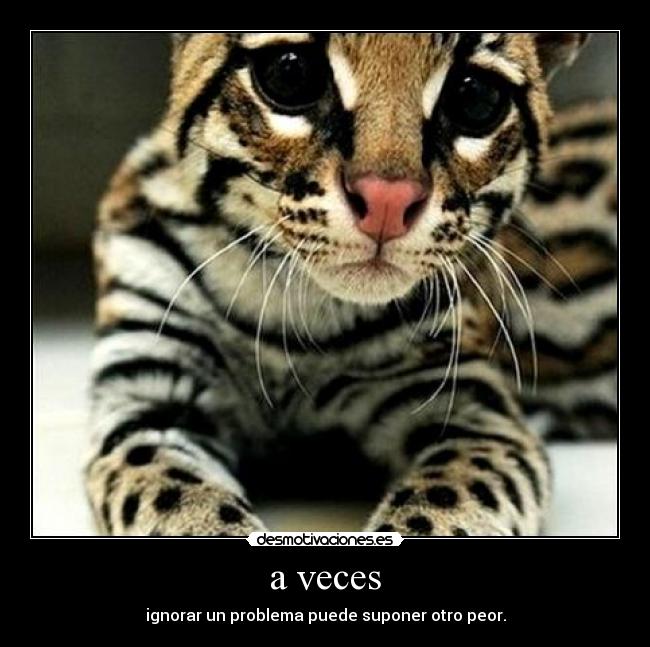 carteles problemas desmotivaciones