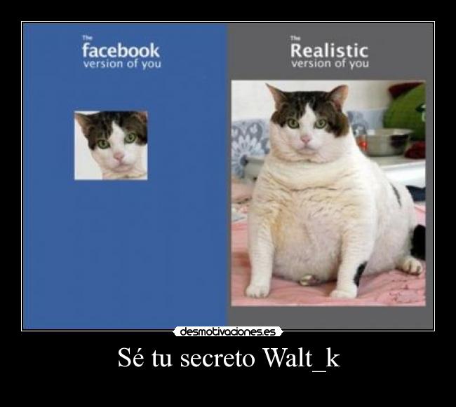Sé tu secreto Walt_k -