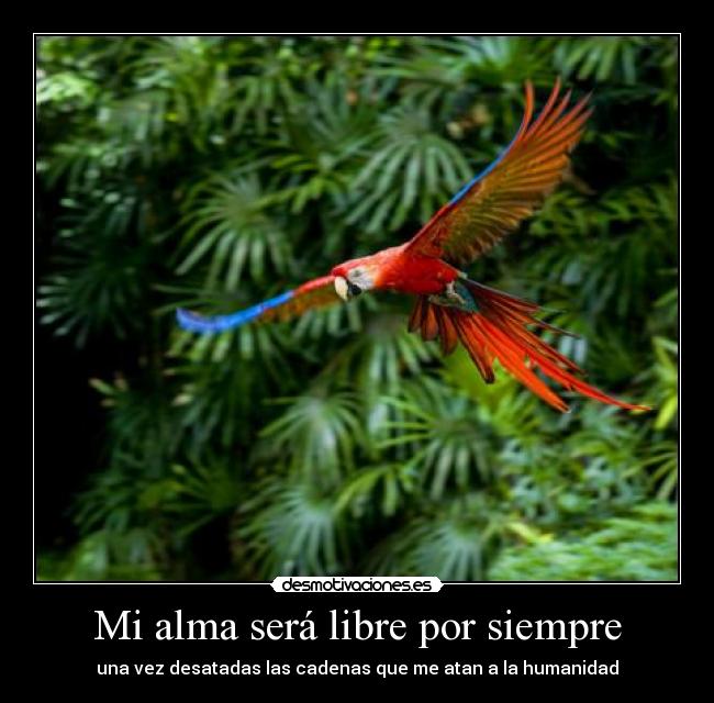 Mi alma será libre por siempre - una vez desatadas las cadenas que me atan a la humanidad