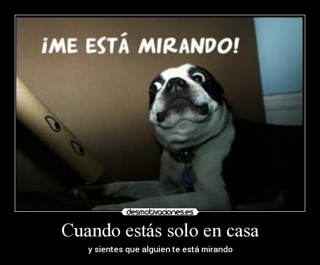 Cuando estás solo en casa - y sientes que alguien te está mirando