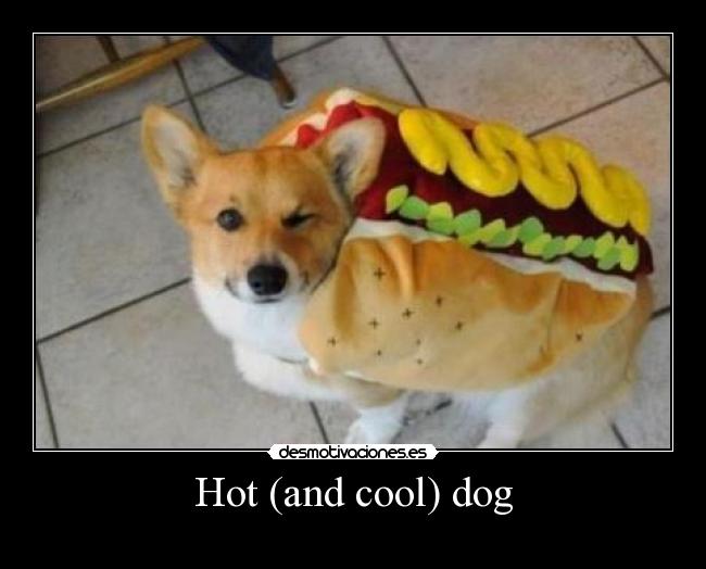 Hot (and cool) dog - 