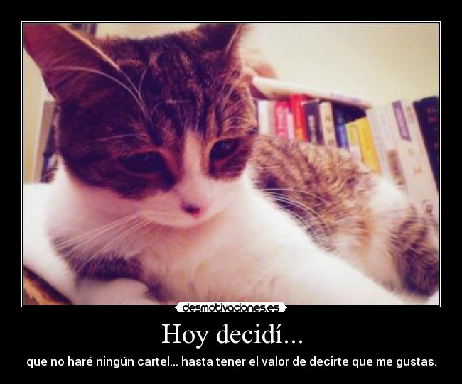 Hoy decidí... - que no haré ningún cartel... hasta tener el valor de decirte que me gustas.