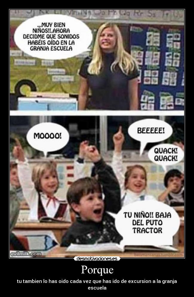 Porque - tu tambien lo has oido cada vez que has ido de excursion a la granja escuela