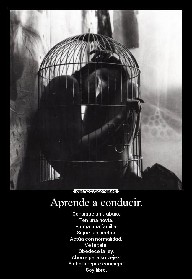 Aprende a conducir. - Consigue un trabajo.
Ten una novia.
Forma una familia.
Sigue las modas.
Actúa con normalidad.
Ve la tele.
Obedece la ley.
Ahorre para su vejez.
Y ahora repite conmigo:
Soy libre.