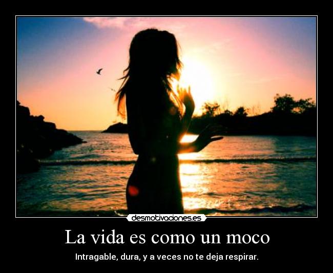 La vida es como un moco - 