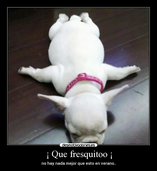 ¡ Que fresquitoo ¡ - no hay nada mejor que esto en verano..