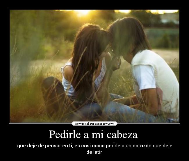 Pedirle a mi cabeza  - 
