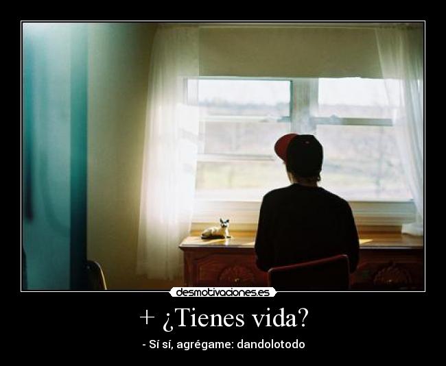 + ¿Tienes vida? - - Sí sí, agrégame: dandolotodo