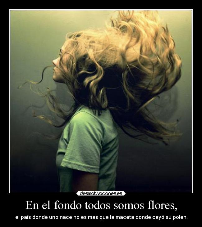 En el fondo todos somos flores, - 