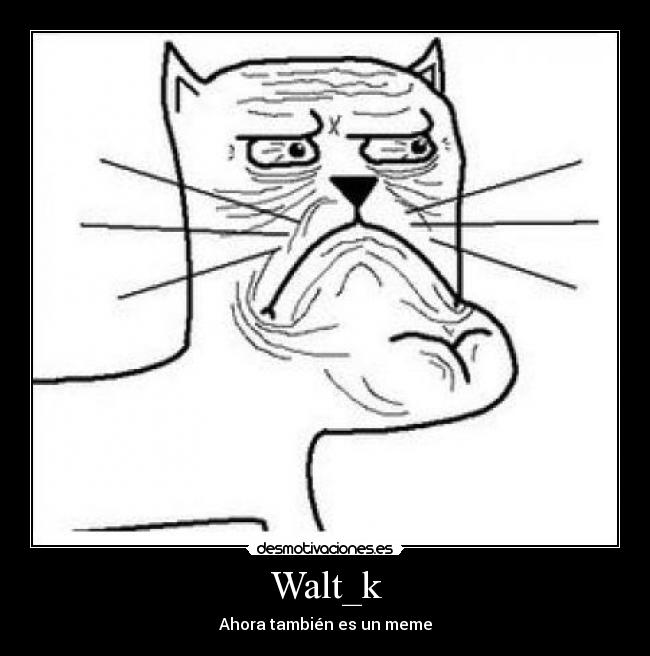 Walt_k - Ahora también es un meme