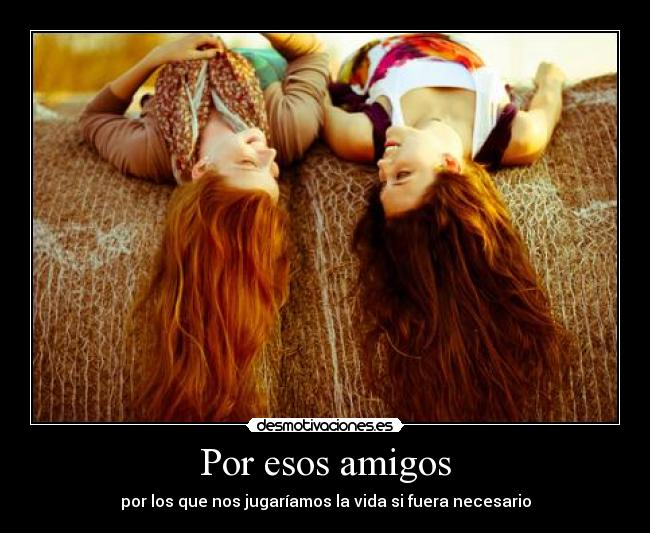 carteles amigos amigos vida desmotivaciones