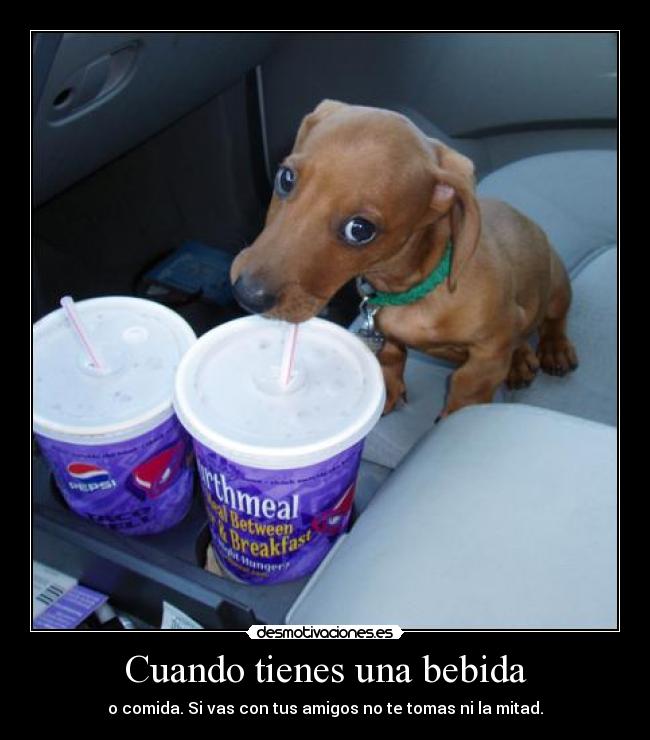 Cuando tienes una bebida - 