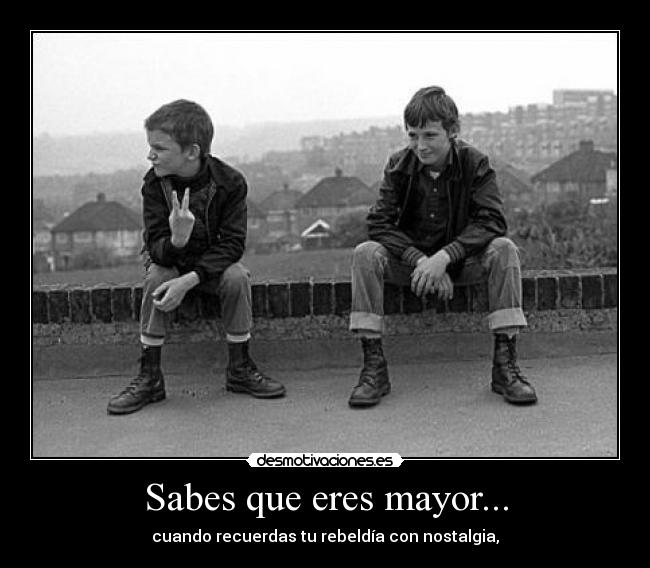 carteles rebeldia nostalgia mayor desmotivaciones