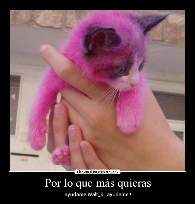 Por lo que más quieras -