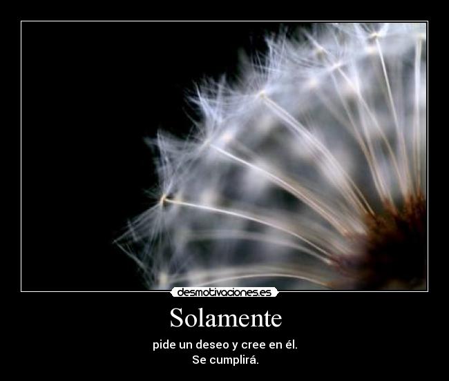 Solamente - 