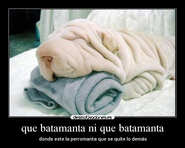 que batamanta ni que batamanta - donde este la perromanta que se quite lo demás