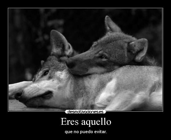 Eres aquello - 