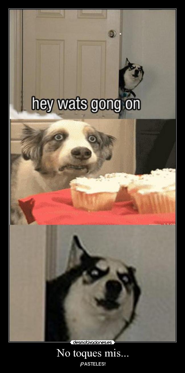 No toques mis... - ¡PASTELES!