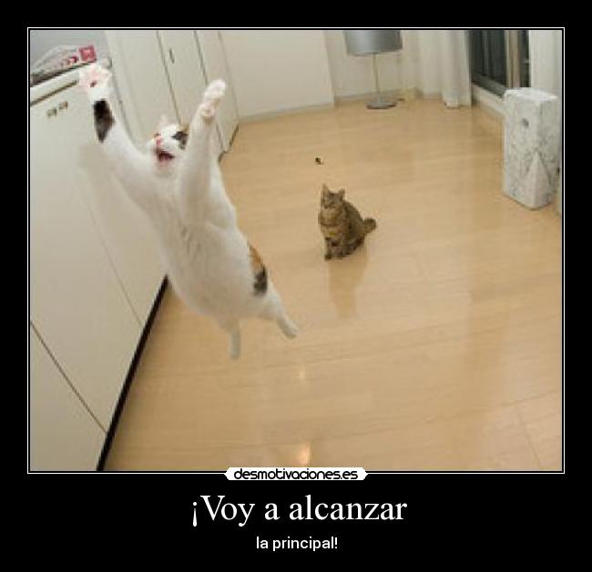 ¡Voy a alcanzar - la principal!