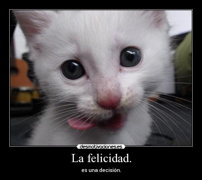 La felicidad. - es una decisión.