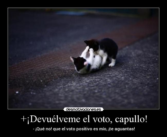 +¡Devuélveme el voto, capullo! -