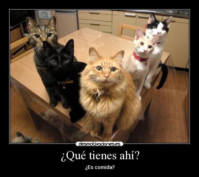 ¿Qué tienes ahí? -