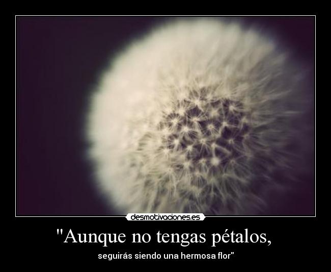 Aunque no tengas pétalos, -