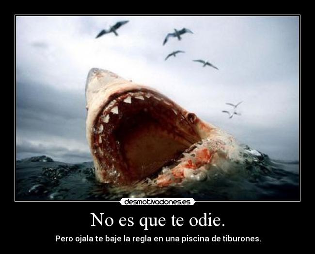 No es que te odie. - Pero ojala te baje la regla en una piscina de tiburones.
