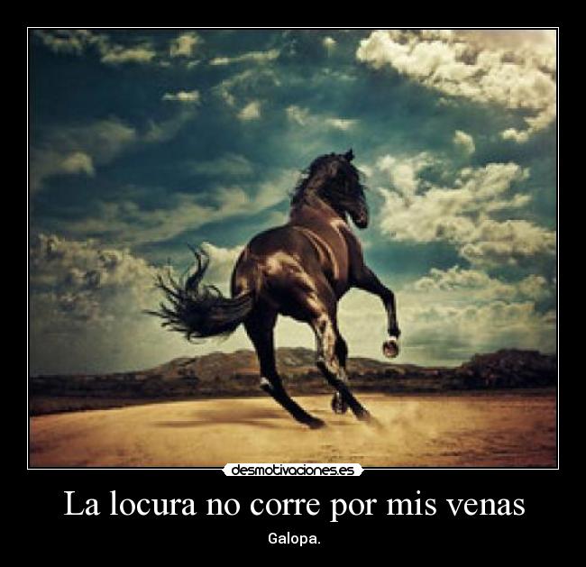 La locura no corre por mis venas - 