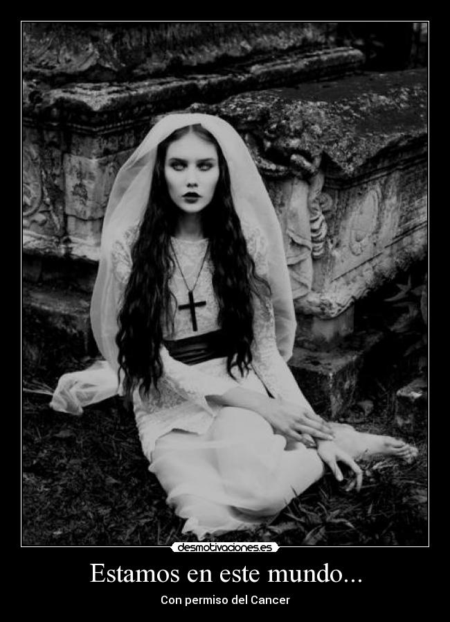 carteles mundo suicidio noticia sexo violencia desmotivaciones