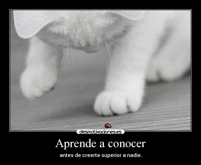 Aprende a conocer - 