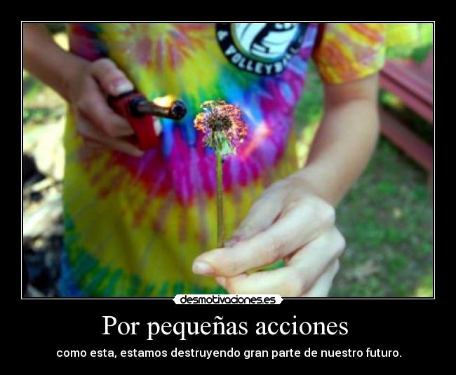 Por pequeñas acciones  - 