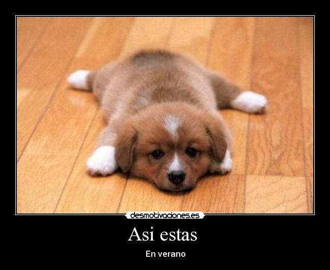 Asi estas - En verano