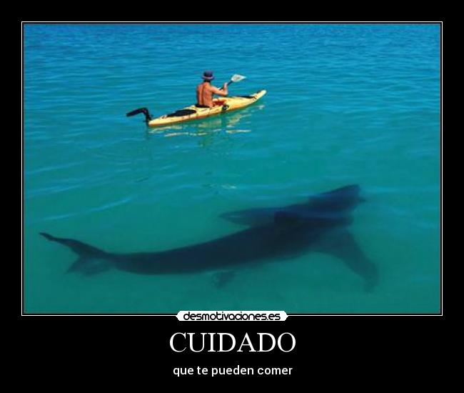 CUIDADO - que te pueden comer