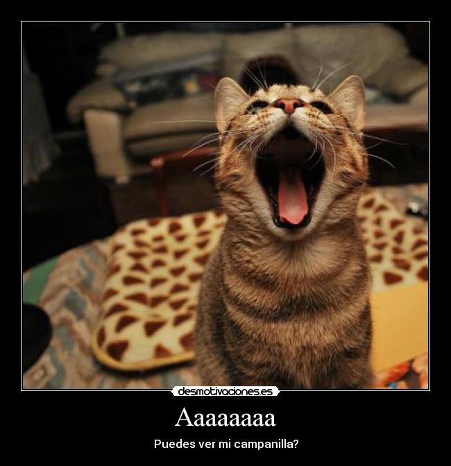 carteles gatosdesmotivaciones desmotivaciones