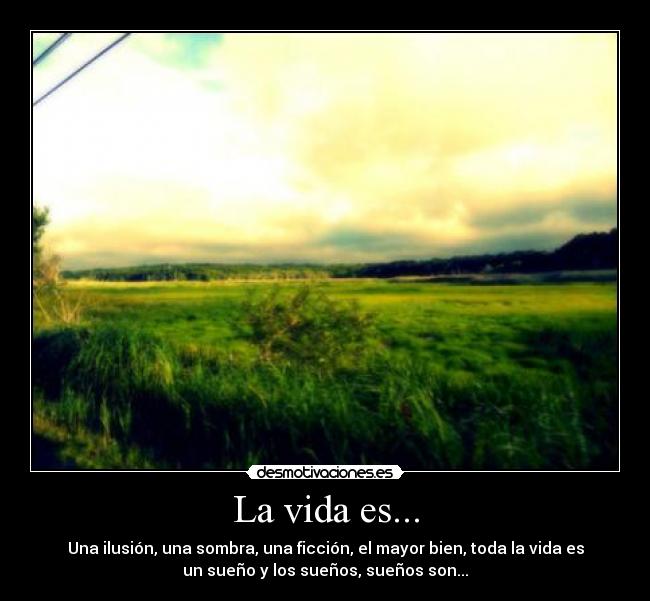 La vida es... -