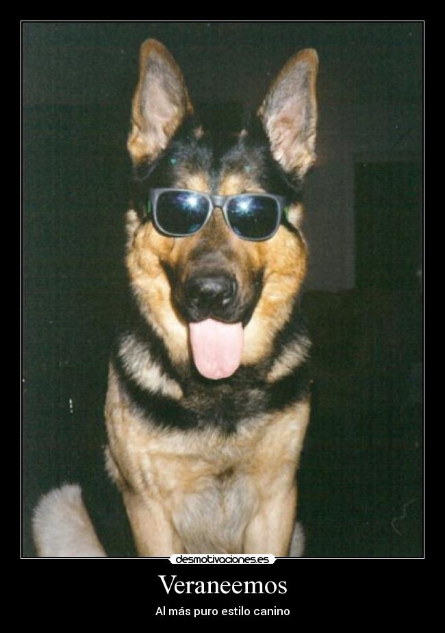 Veraneemos - Al más puro estilo canino