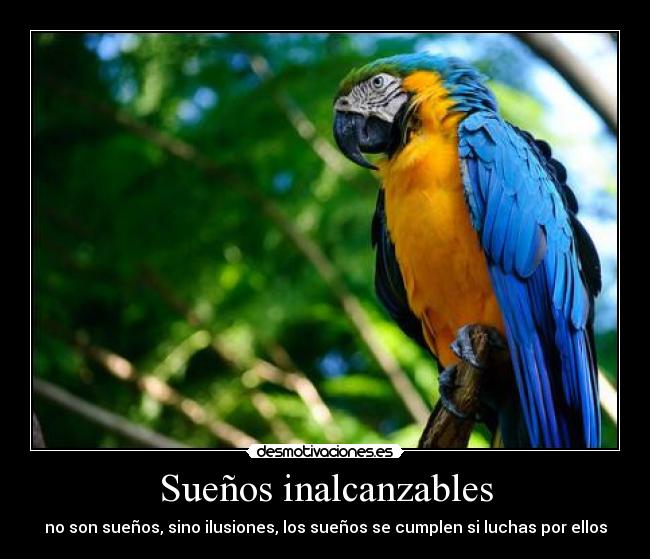 Sueños inalcanzables -
