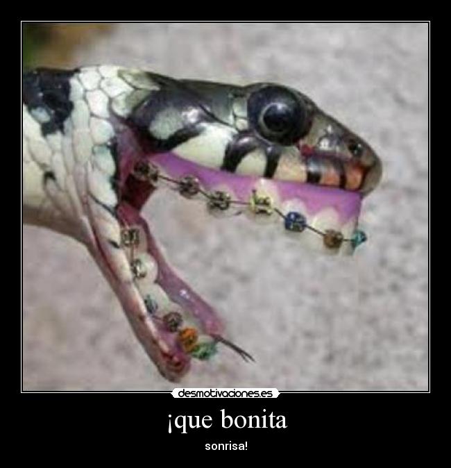 ¡que bonita - sonrisa!