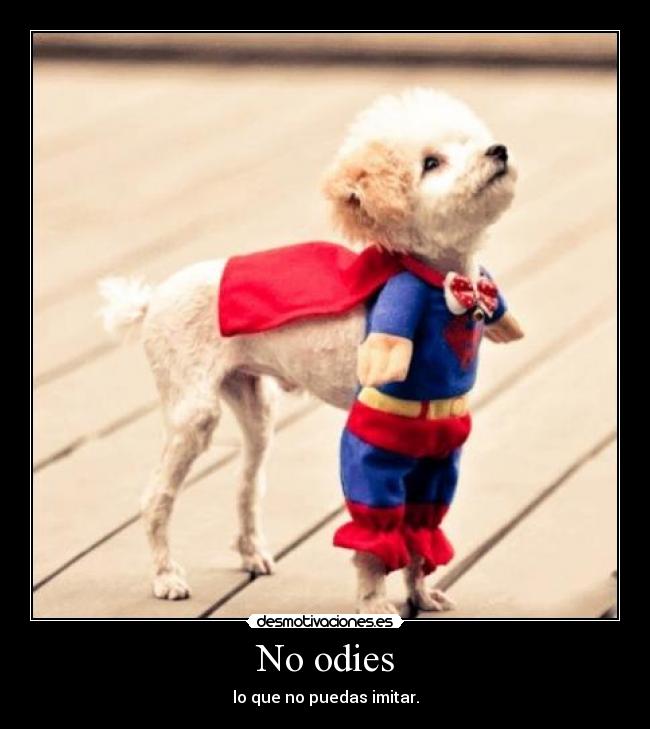 carteles odies desmotivaciones