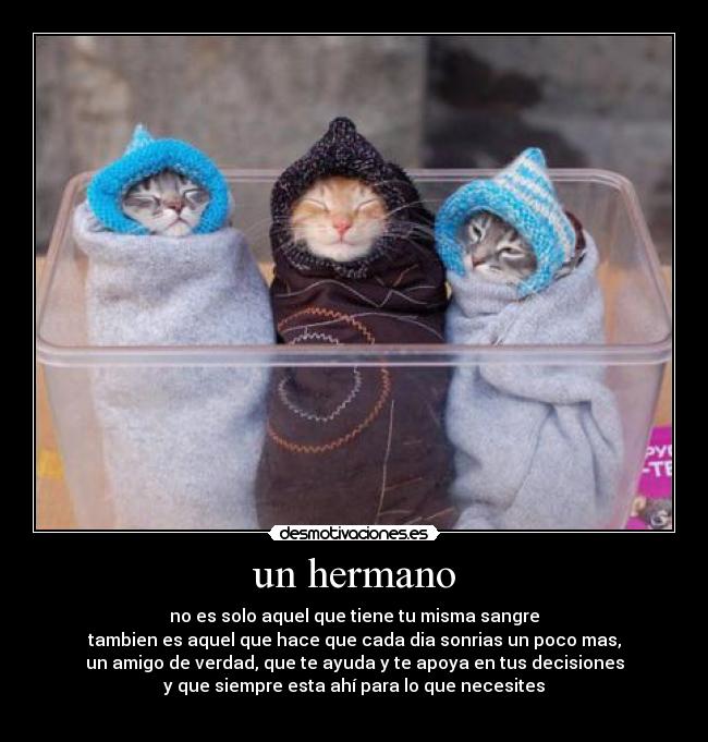 carteles hermano desmotivaciones