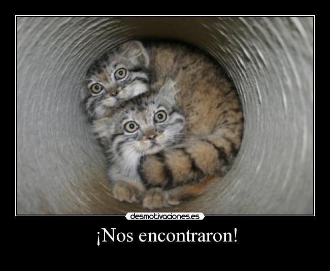 ¡Nos encontraron! -