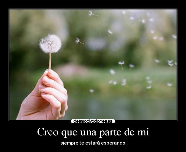 Creo que una parte de mí -