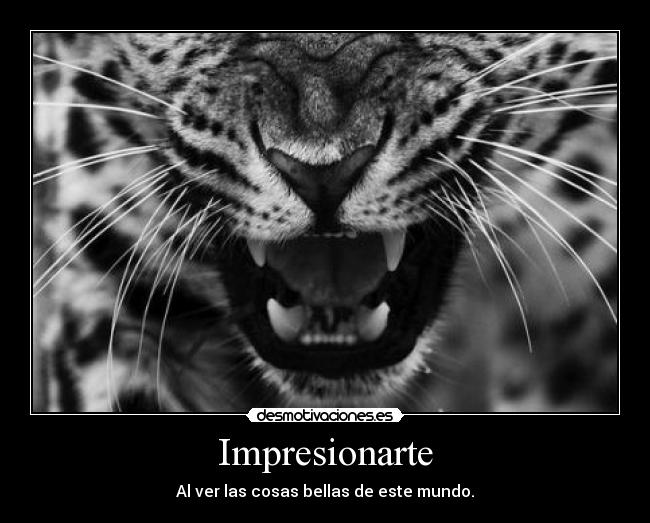 Impresionarte - 